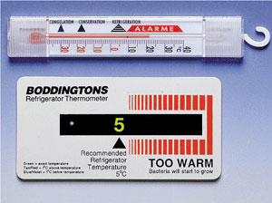 fridge and freezer thermometers